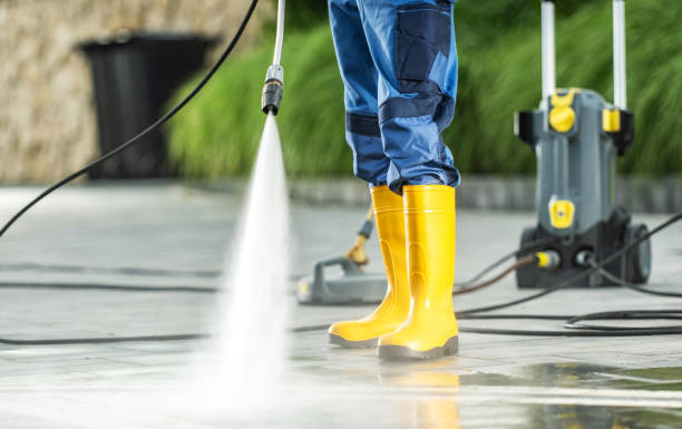 Best Roof Pressure Washing  in Eden, TX
